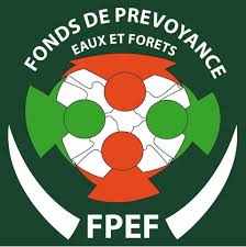 Fpef